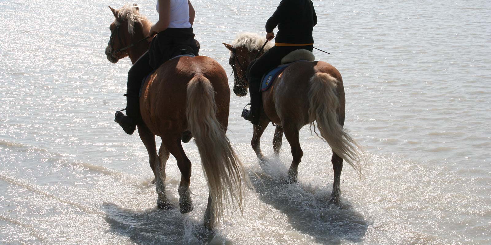 05 | Sattelpatz | Horse Riding © Roland Vidmar / videomar.at