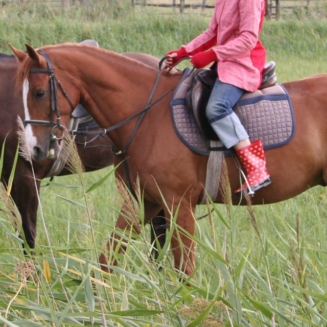 Reiten mit Gummistiefel (Modeshooting) © Roland Vidmar, videomar.at